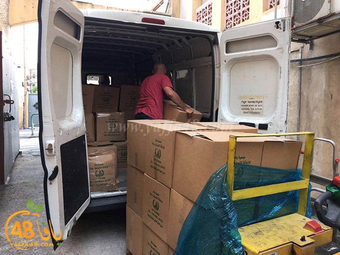 torold yaffa (10).jpg